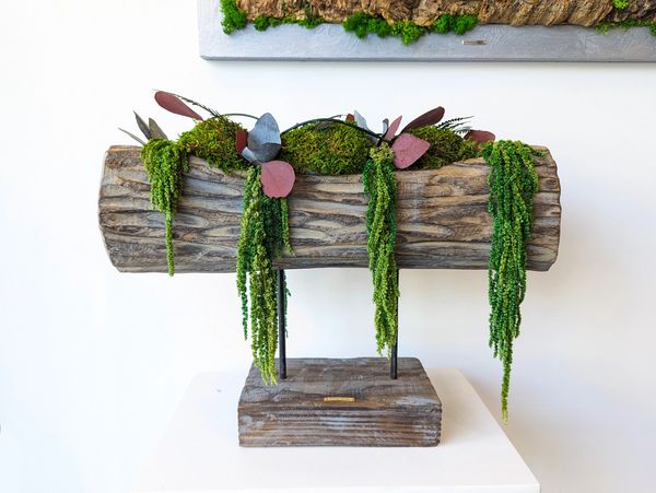 A log-shaped planter, filled with green moss, orange moss, and preserved plants.