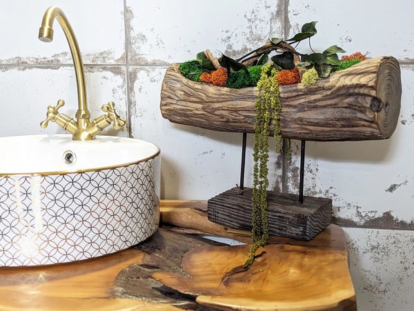 A log-shaped planter, filled with green moss, orange moss, and preserved plants.