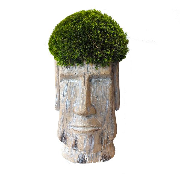 Moai head is topped with a vibrant green clump of moss.