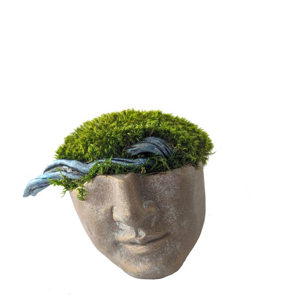 Bronze-toned planter shaped like a human head is filled with green moss and blue wood.