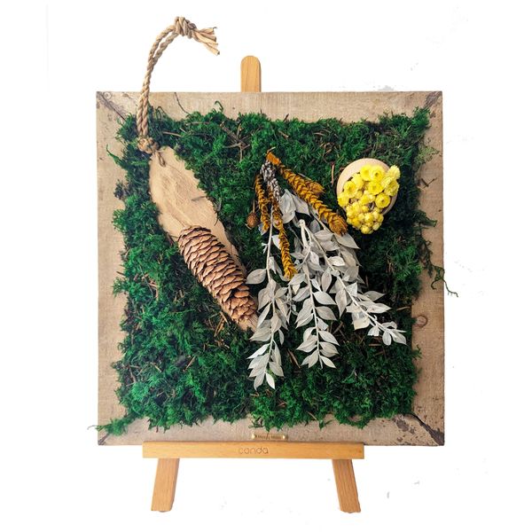 Wall nature art, with natural preserved moss and plants, Zero maintenance, long lasting, Moss Cyprus