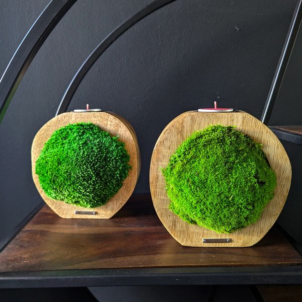 Two small, round wooden candle holder, containing a moss.