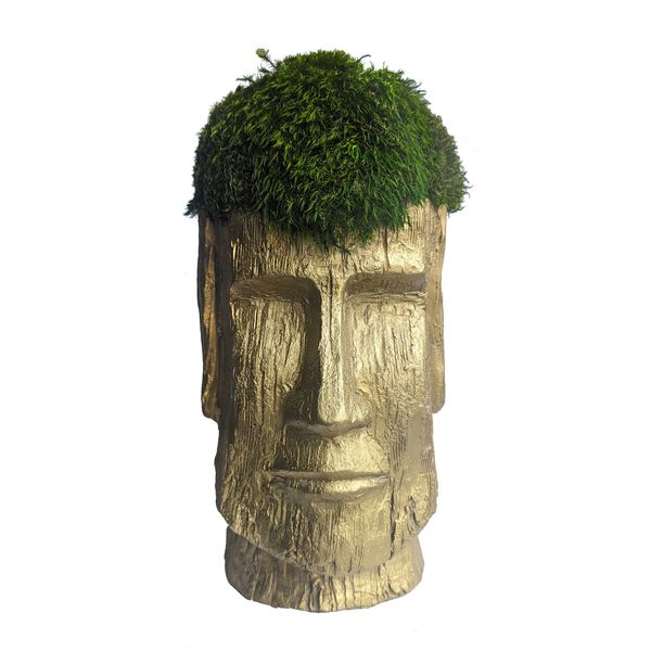 Moai head is topped with a vibrant green clump of moss.