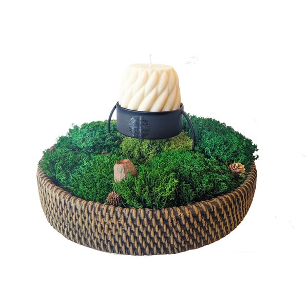 Embossing ceramic pot, candle holder preserved moss and natural woods, home decor, Moss Cyprus
