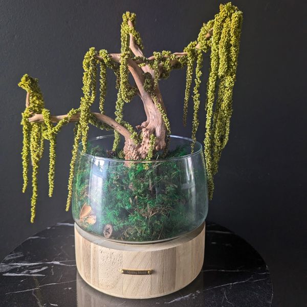 A small, decorative bonsai tree sits in a clear glass bowl.