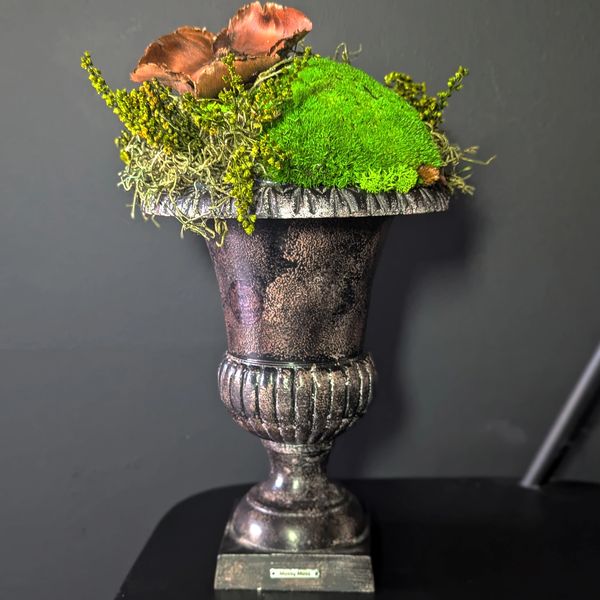 A decorative, dark-colored urn holds green moss,  and preserved plants.