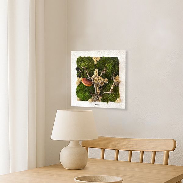 Moss wall frame by natural moss with zero maintenance moss cyprus