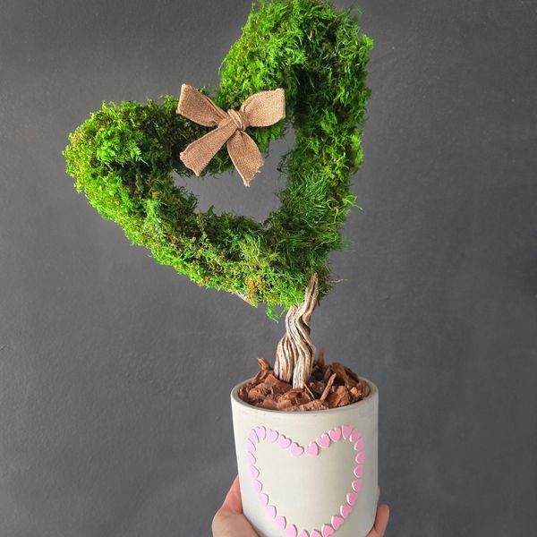 A heart-shaped bonsai tree made of green moss with a gray pot decorated with pink hearts.