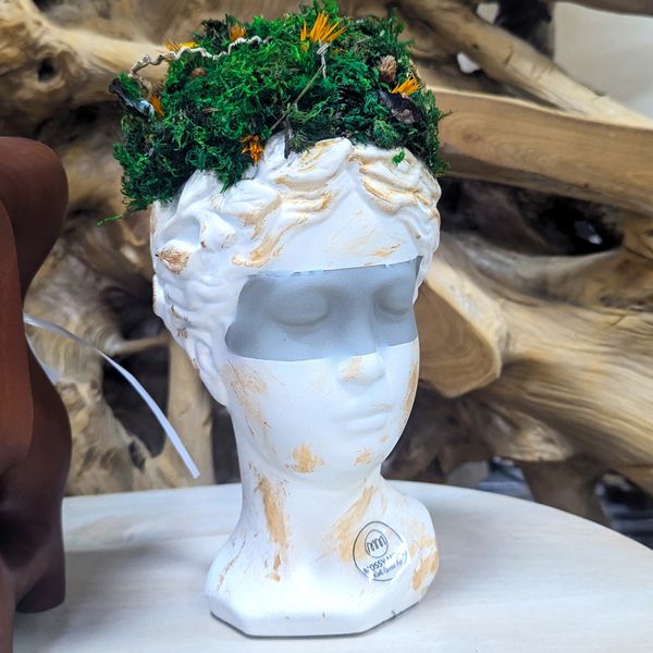 A white, stylized head planter, Venus de Milo, filled with vibrant green moss and small yellow flowe