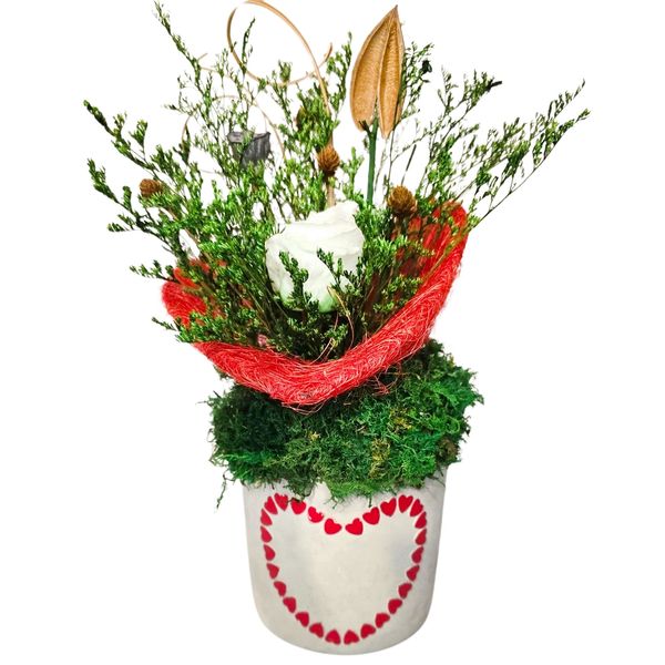 Pot decorated with tiny red hearts contains moss, plants and white rose.