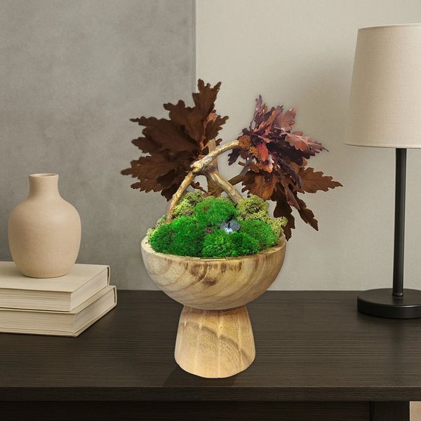 A wooden bowl-shaped planter filled with green moss, wood and preserved oak leaves black base.