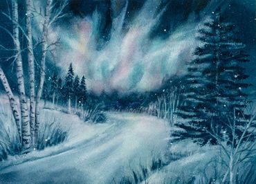 Northern Lights, Aurora Borealis winter scene