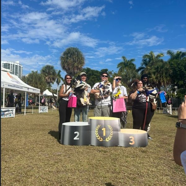 Five people with dogs stand on a winners podium outdoors under a blue sky.