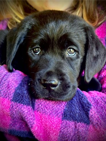 Nia at 8 weeks