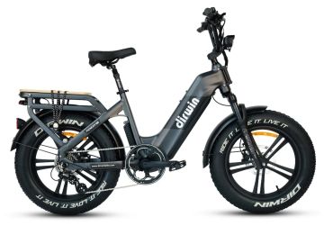 Black electric bike with thick tires and rear rack.