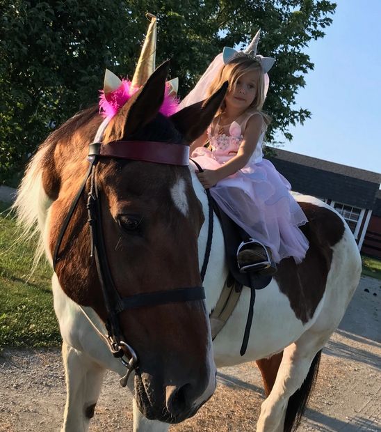 little girl and horse dressed as unicorns