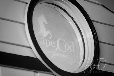 window with Cape Cod Equestrian Center Logo
