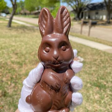 Chocolate bunny, chocolate rabbit, Easter, Chinese new year, year of the water rabbit, Chinese zodia