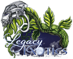 Legacy Exotics: Cresties