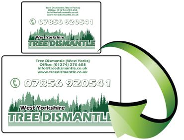 raster image to vector artwork