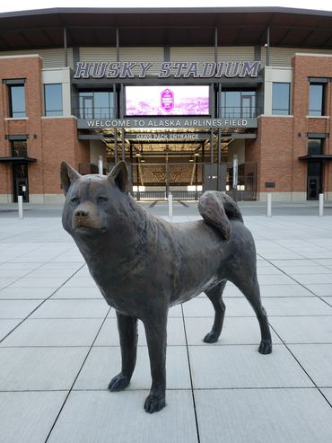 Short walk to Husky Stadium and Link Light Rail Station, and UW Medical Center