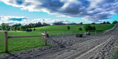 Natural track horse boarding