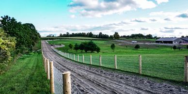 Natural track horse boarding