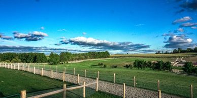 Natural track horse boarding
