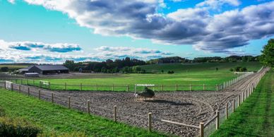 Natural track horse boarding