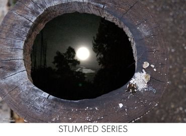 Photomontage by Marvin Berk of dead tree trunk with moonlight sky of Mattituck.