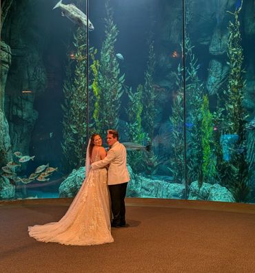 Aquarium of the Pacific Wedding.
