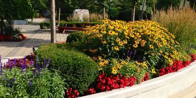 Designing and incorporating natural plantings throughout our properties.