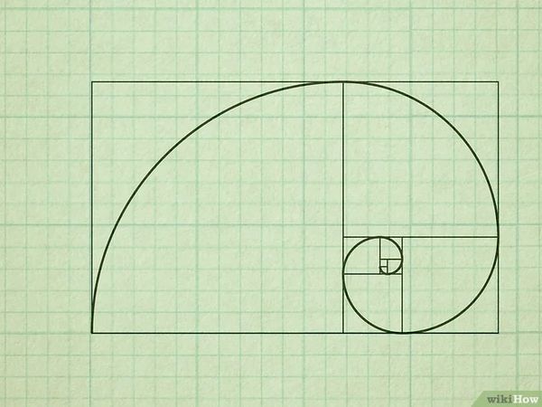 A golden spiral drawn on graph paper.