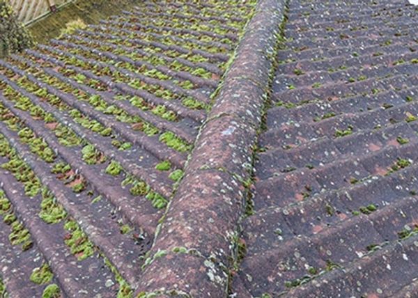Before image of a roof scraping job in River, Dover.
