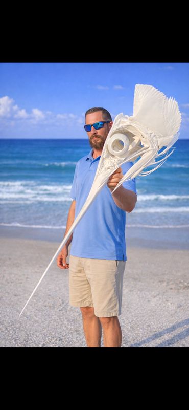 Broadbill Swordfish Skull Mount