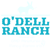 O'DELL RANCH
Home of:
OMD Miniatures
Fancy Farms Iris