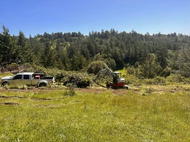 Excavator loading brush into trailer hitched to a pickup truck in a grassy field.