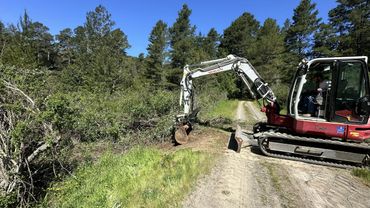 Excavator clearing brush along a dirt forest road on a sunny day.