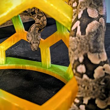 A snake navigating through a colorful geometric structure.