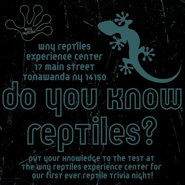 WNQ Reptiles trivia night invitation with a gecko graphic.