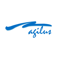 Agilus Consulting Group Inc