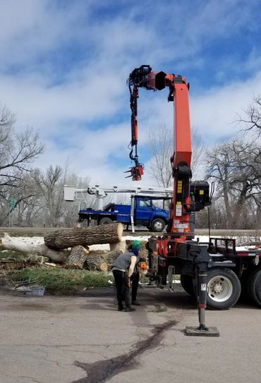 This is a very cool tree cutting machine.