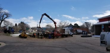 Removing the dead cottonwood tree.