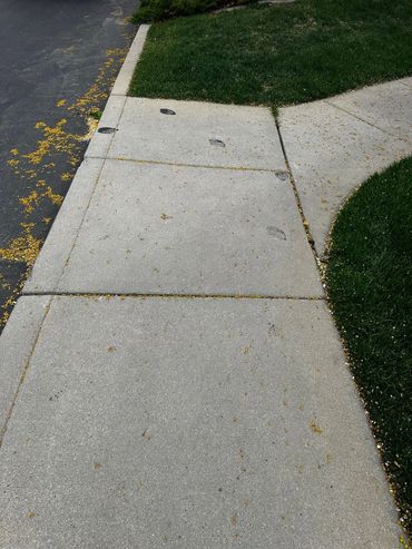 Sidewalk tar stains