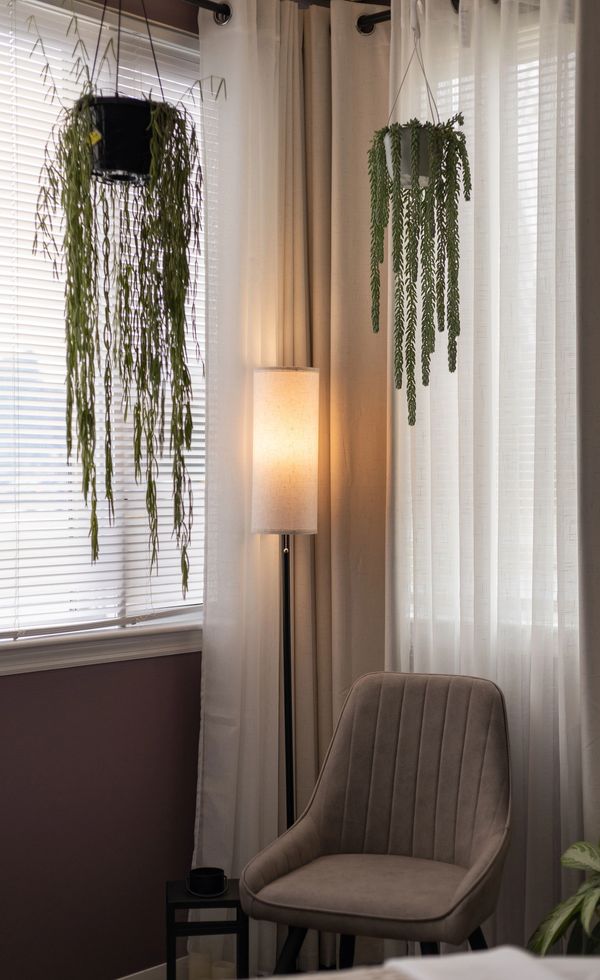 Cozy corner with a lamp, chair, and hanging plants.