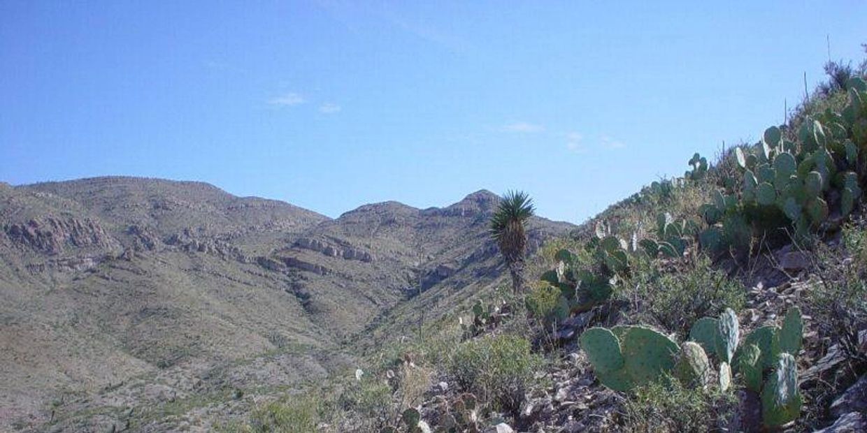 Priced to sell with the lowest cost per acre of any parcel of this size in Hudspeth County. 636 acre