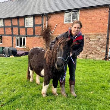 Poppy the Shetland Pony