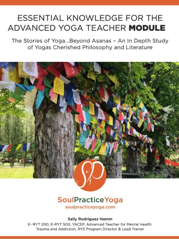 Essential Knowledge for the Advanced Yoga Teacher: Beyond the Asanas