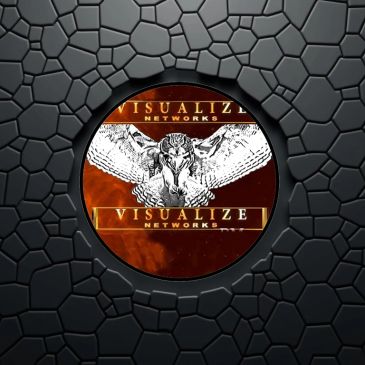 Logo of Visualize Networks with a bird and textured circular frame.