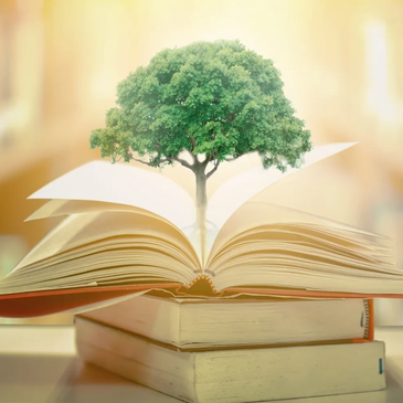 Photo of Tree growing from the pages of a book with a link to Wonky Tree Reads page of book reviews